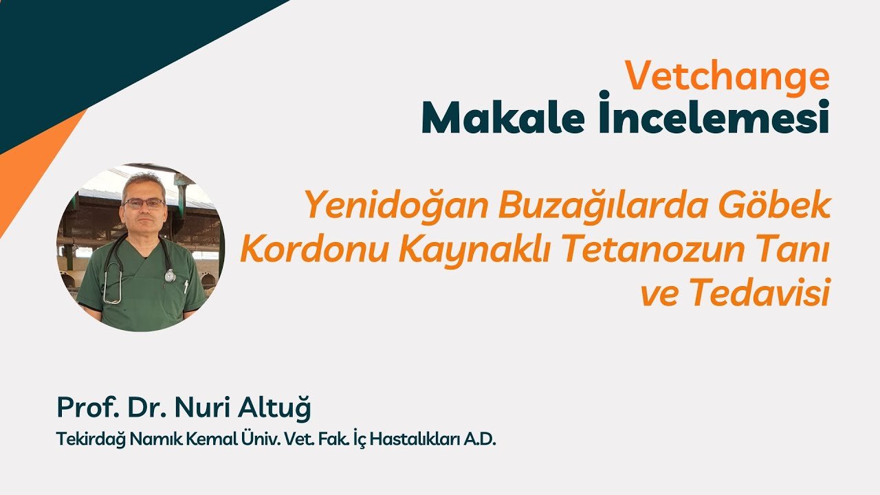 Yenidoğan buzağılarda göbek kordonu kaynaklı tetanozun tanı ve tedavisi